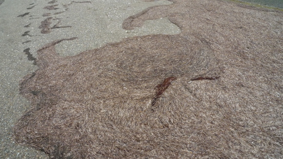 c0212083_14544392.jpg