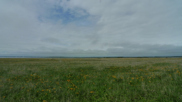 c0212083_14554985.jpg
