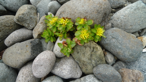 c0212083_14574542.jpg