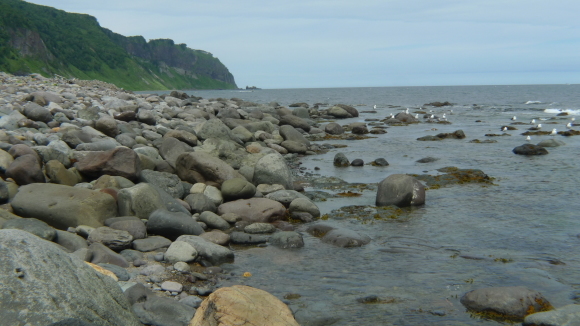 c0212083_14593116.jpg