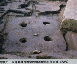 d0183387_18313350.png