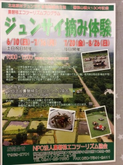 ジュンサイ摘みに行ってきました!_a0096989_14352693.jpg