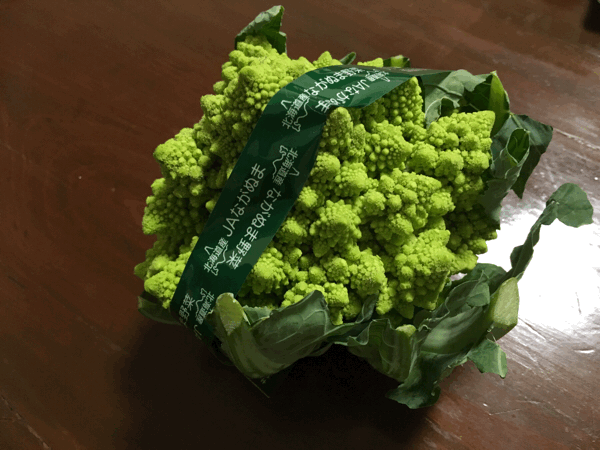 a0309389_22545259.gif