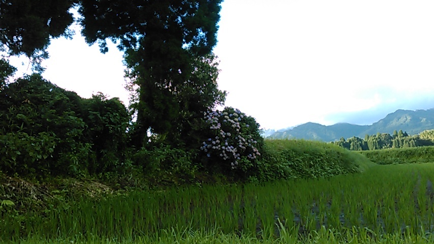 c0335990_15321067.jpg
