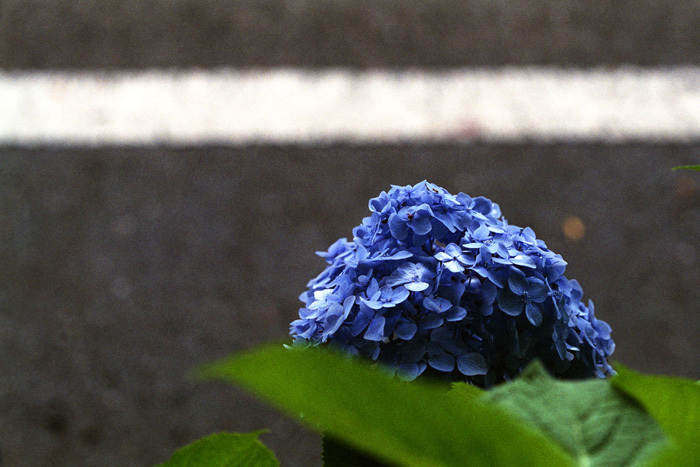 c0386291_05293956.jpg