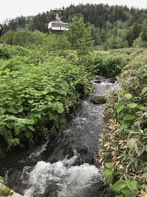 d0180506_22300307.jpg