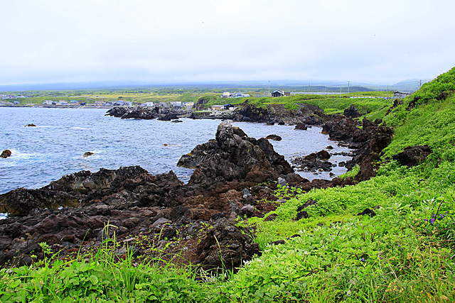 b0014607_20441877.jpg