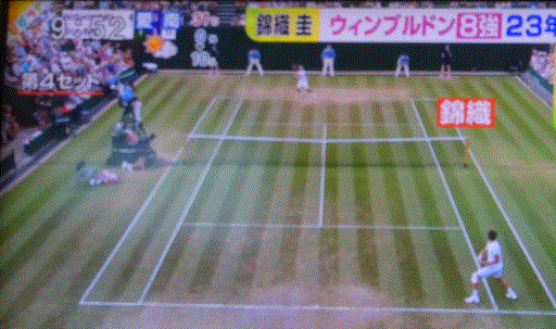f0231709_16073971.gif