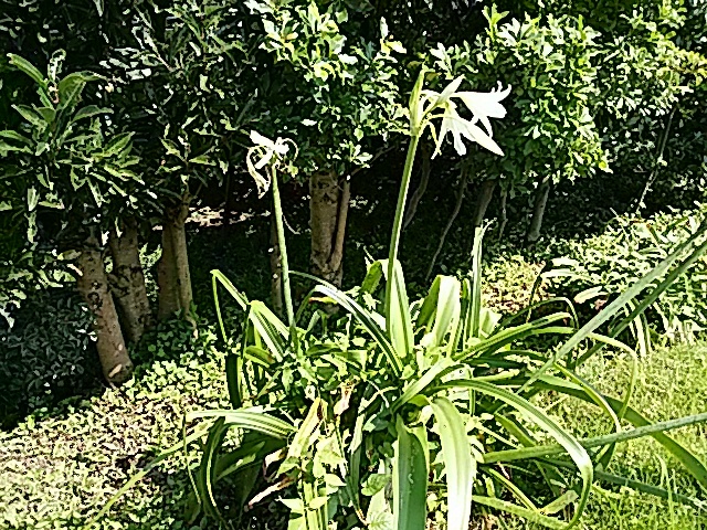 f0231709_18293550.jpg