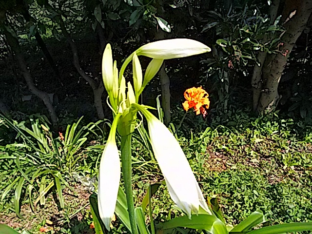 f0231709_18311577.jpg