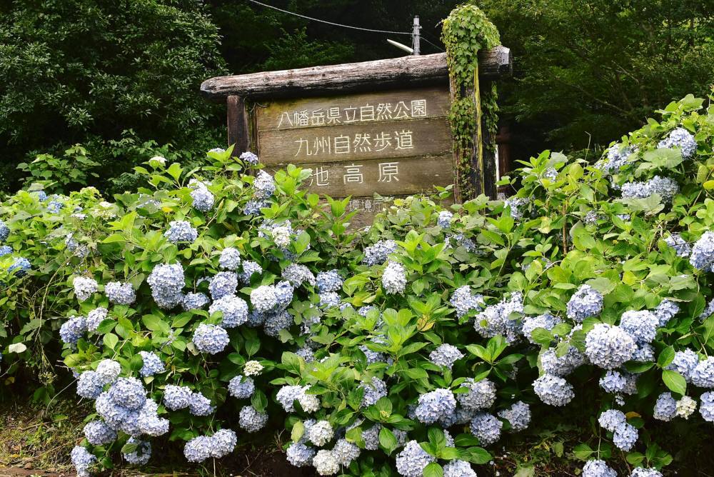 f0212511_00074297.jpg