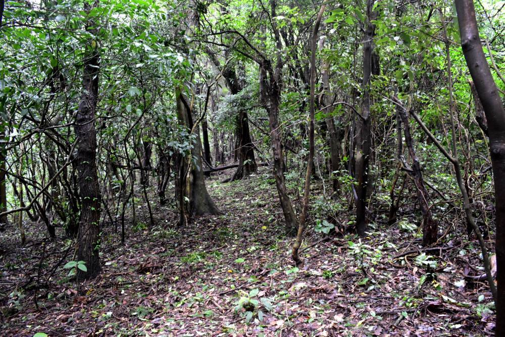 f0212511_00093869.jpg