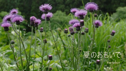 f0205317_09120983.jpg