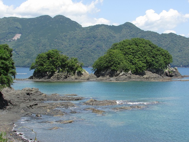 ある晴れた日の散歩風景（尾鷲湾南岸）_e0321325_11124796.jpg