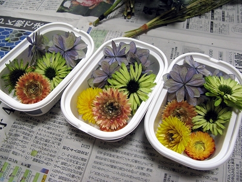 ドライフラワーの花材_f0129726_21544731.jpg