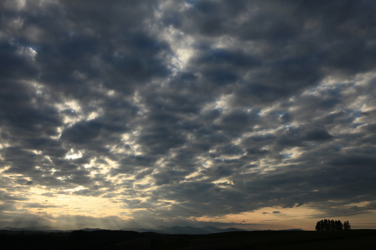 f0116528_20060083.jpg