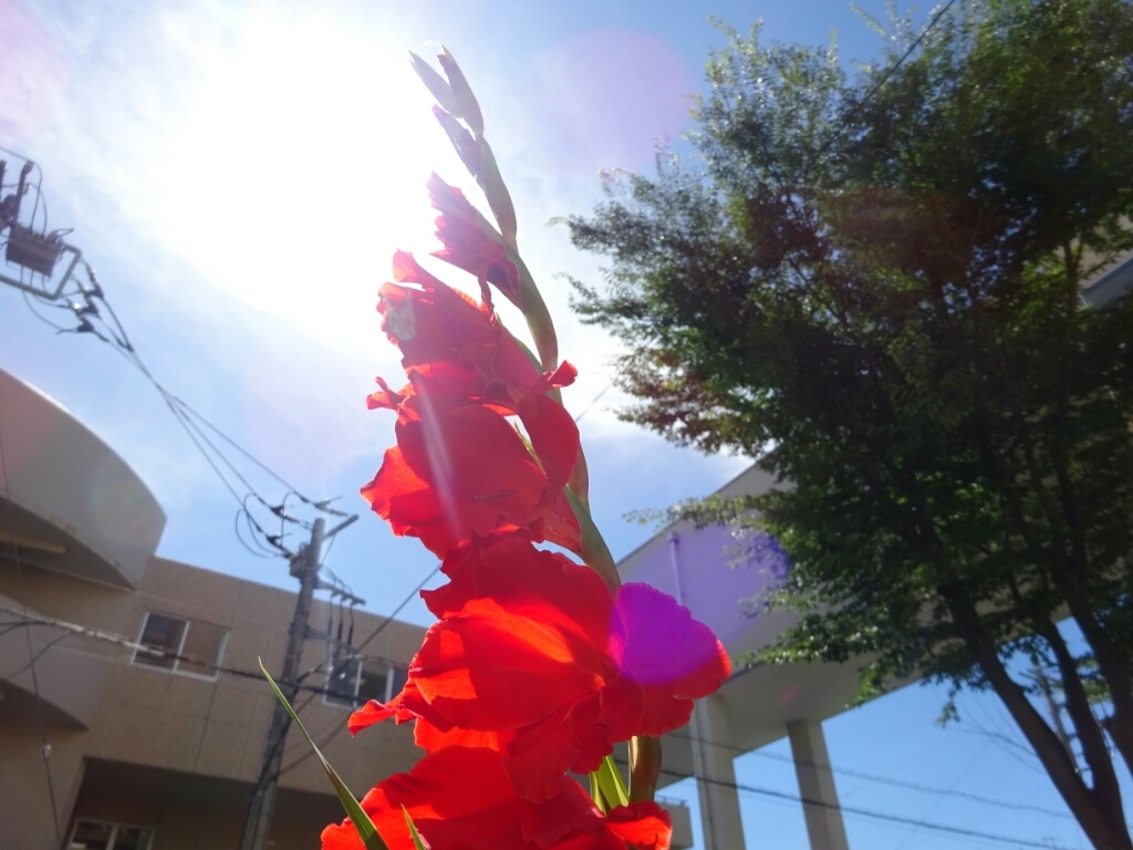 d0378837_12182145.jpg