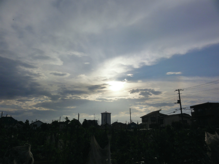 d0111439_20322311.jpg