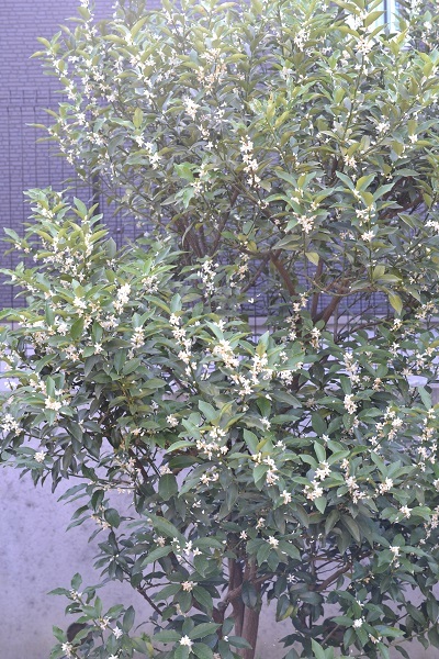 d0282139_09573256.jpg