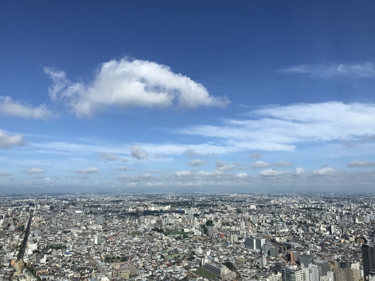 b0009849_16325639.jpeg