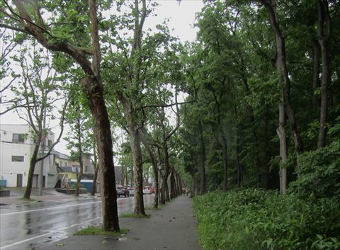 b0220251_17490534.jpg