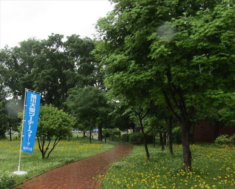 b0220251_17501132.jpg
