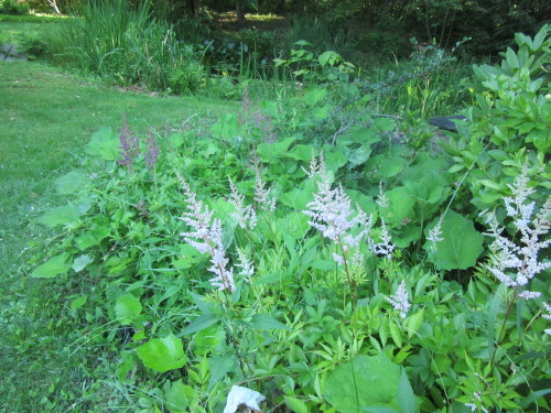b0247153_00040389.jpg