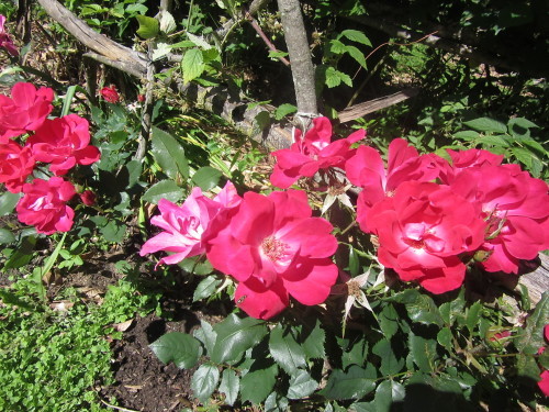 b0247153_00053609.jpg