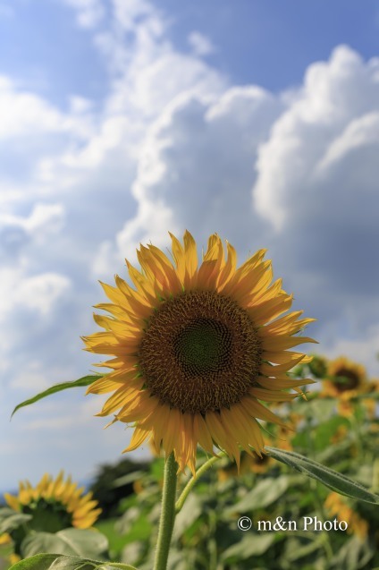 e0321360_23594445.jpg