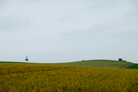 d0340565_20100671.jpg