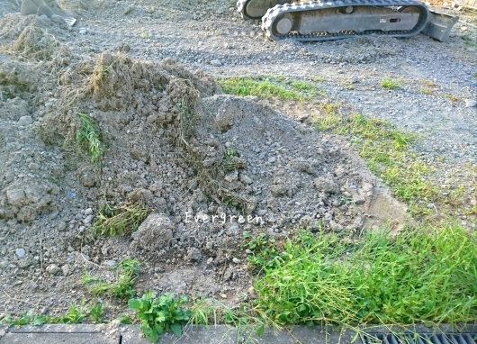 d0362666_22332787.jpg