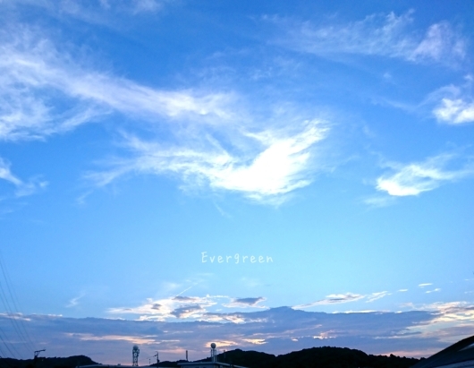 d0362666_22393804.jpg