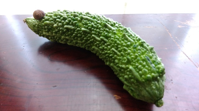 ドナドナ_d0389370_17110355.jpg