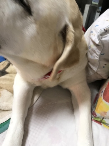 f0315081_22212813.jpeg