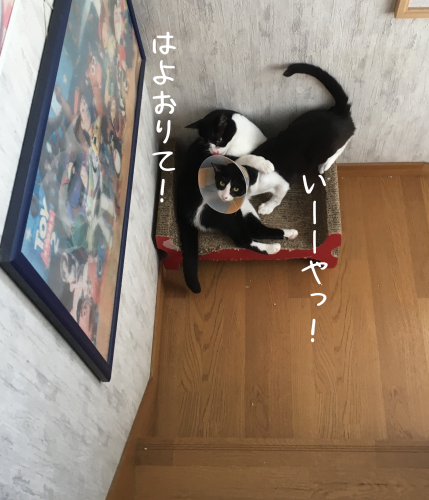 a0216583_15412888.png