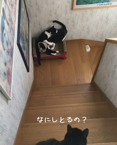a0216583_15414261.png
