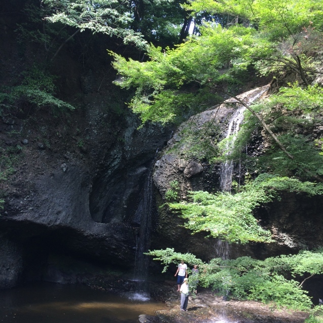 b0090883_16351940.jpeg