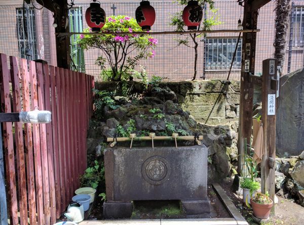 柳森神社　出世の御利益「おたぬきさま」とセルフ御朱印_c0361995_22105636.jpg