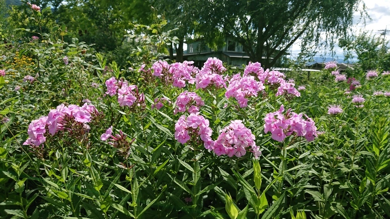 c0320302_20483472.jpg