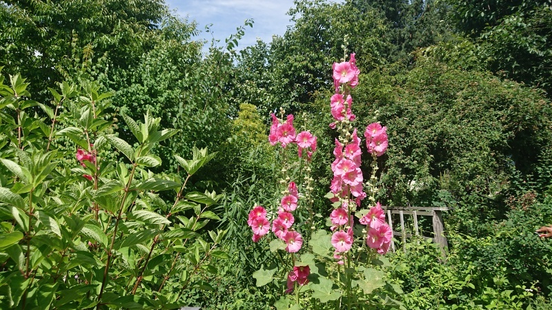 c0320302_20502385.jpg