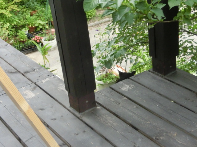 a0203003_20073823.jpg