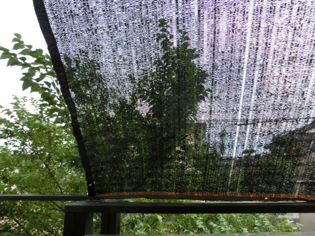 a0203003_20084480.jpg