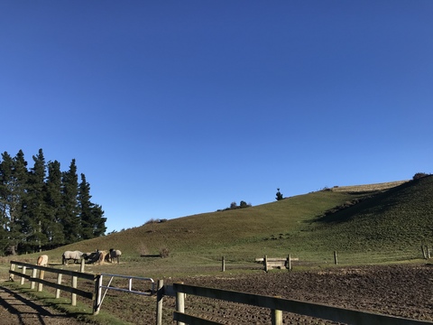 c0212604_14144759.jpg