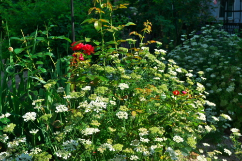 a0263109_20445981.jpg