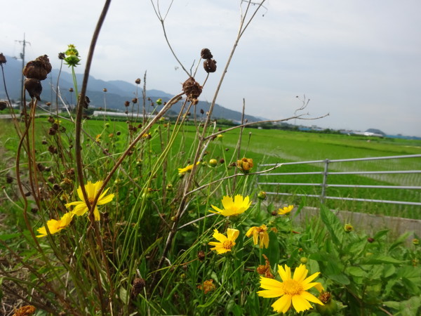 f0231709_21160521.jpg