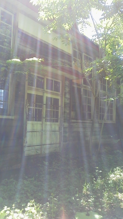a0340410_22124335.jpeg