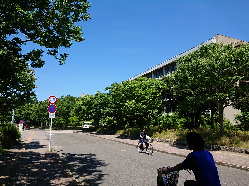 f0100911_2135194.jpg