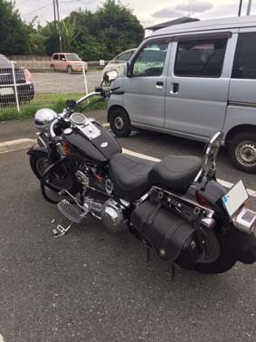 e0019320_10364719.jpeg