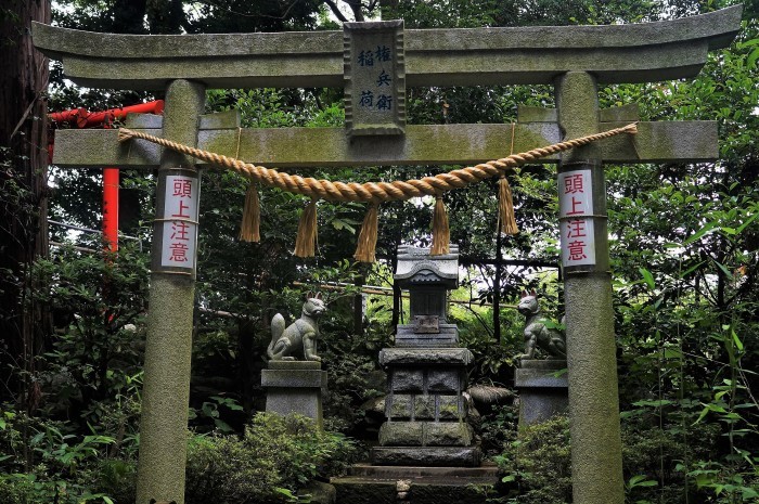 ■御朱印巡り【秦野関東三大稲荷　白笹稲荷神社】／【震生湖】_b0033423_23201074.jpg