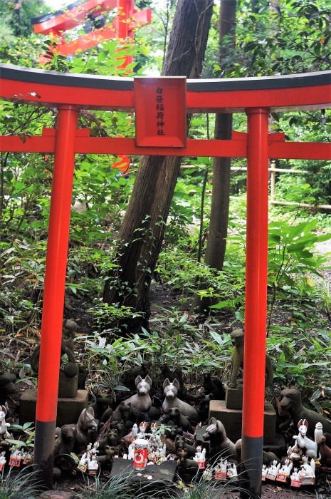 ■御朱印巡り【秦野関東三大稲荷　白笹稲荷神社】／【震生湖】_b0033423_23210002.jpg